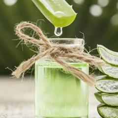 Kombucha & Health Drinks