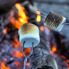 Marshmallows & Toasting Kits
